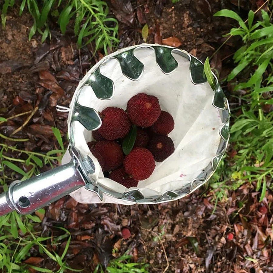 Colhedor de Frutas para Árvore - Agriculture Farming Practices avaliação e preço