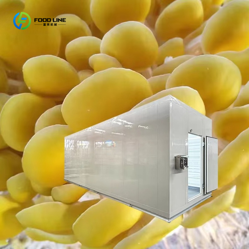 Cápsula Inteligente para Culti - Smart Farming Technology In Agriculture avaliação e preço