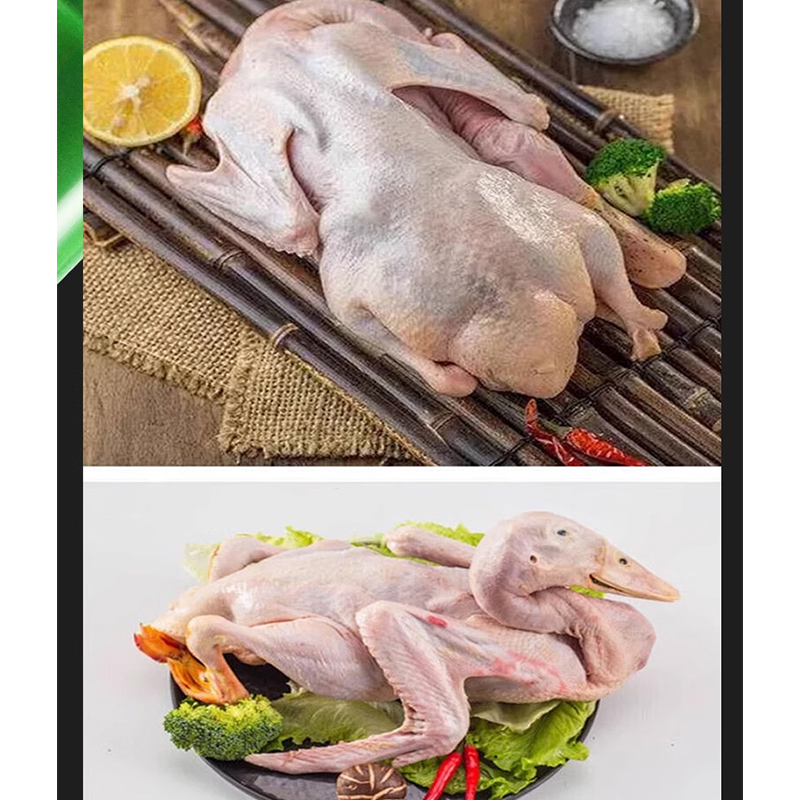 Máquina depenadora de penas po - Chicken Plucker Machine avaliação e preço